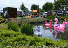 Of Royal van Zanten ook plastic paradijsvogels veredelt is niet bekend, maar ze zijn in elk geval leuk voor in de vijver.